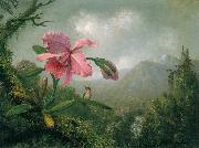 Martin Johnson Heade, Orchid and Hummingbird near a Mountain Waterfall